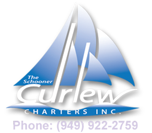The Schooner Curlew Logo